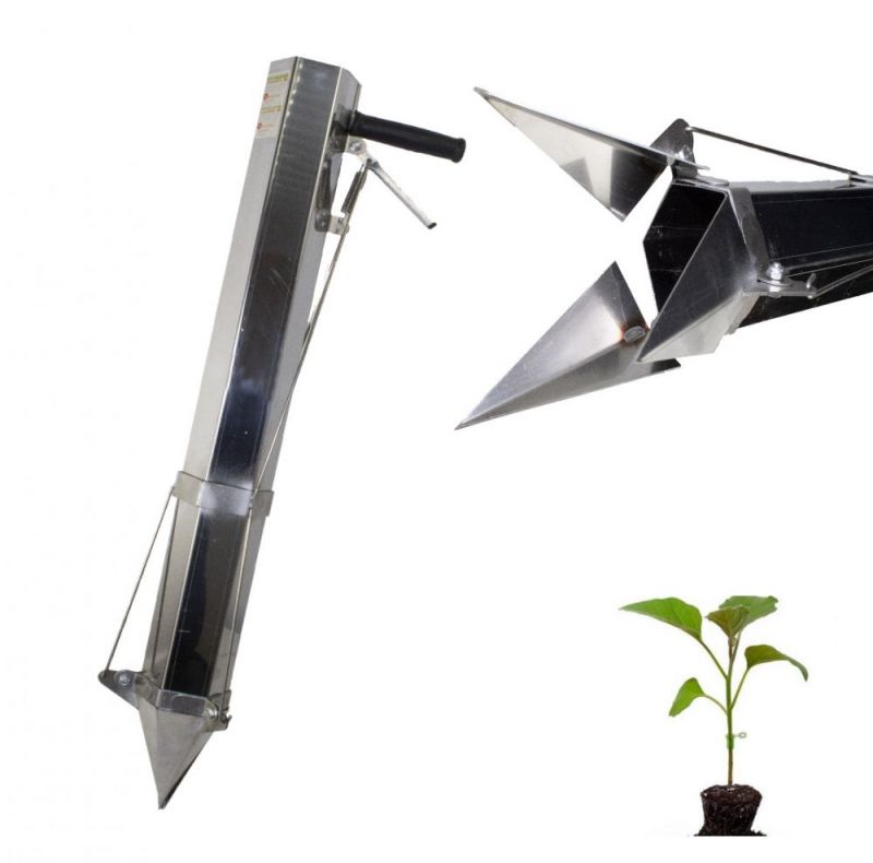 Title